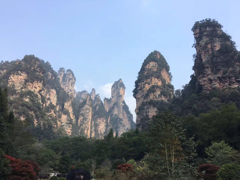 800 600.jpg 800 600.jpg